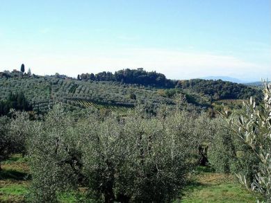 Ancient stone Tuscany country home that sleeps six Ancient stone Tuscany country home that sleeps six